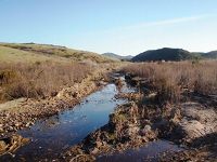 Deer Canyon